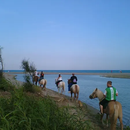 Western Imperiale 호텔 노바시리마리나