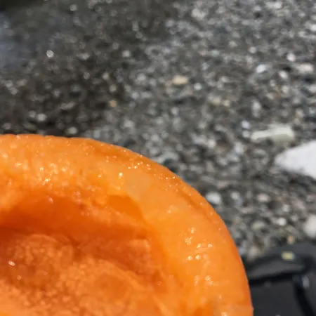 Western Imperiale 호텔