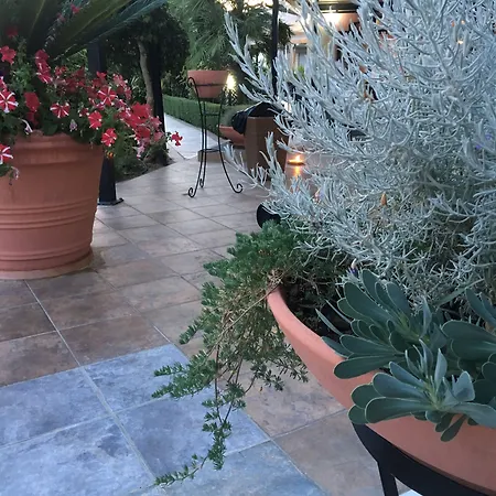 Western Imperiale 호텔