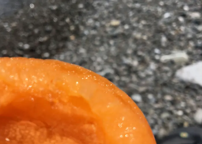 Western Imperiale Отель